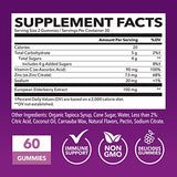 Sambucus Black Elderberry Gummies for Adults | Powerful Antioxidants Packed in Elderberry with Zinc and Vitamin C | Elderberry Vitamins with Elderberry Extract | Improves Immune Support |60 Count