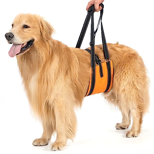 Avont Dog Lift Harness - Upgraded Dog Sling for Large Dogs Hind Leg Support, Lifting Aid with Handle and Straps for Hip Dysplasia, Canines Lifter Support Harness for Elderly Dogs -Orange (L)