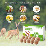 MAGIC CAT Deer Repellent Outdoor, 10 Pack Natural Peppermint Oil Deer and Rabbit Away Repellent for Plants Pet Family Safe, Deer Deterrent for Garden Yard Lawn Tree Protection