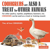 COOHGRUBS 10-lb Dried Black Soldier Fly Larvae Chicken Treats, High Protein Calcium Rich BSF Larvae Snacks for Hens Ducks