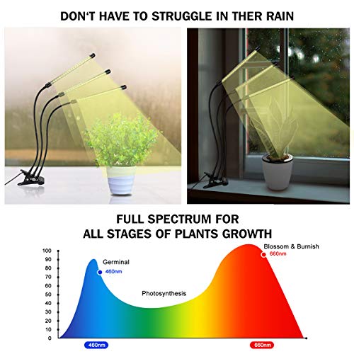 bseah Grow Light Plant Lights for Indoor Plants, Full Spectrum Plant Grow Lights with 3/9/12H Timer, Auto ON & Off, 10 Dimmable Lightness Clip-On Desk Led Grow Light for Seed Starting