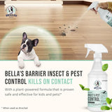 Bella's Barrier Indoor Bug Spray for Home - Ant Spray Indoor & Spider Killer Indoor - Ant Killer & Spider Spray Indoor, Ant Spray Safe for Pets & Kids (32 oz)