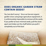 Organic Garden Straw (5lb) | Blue Mountain Hay | Straw Mulch for Raised Bed Gardens, Yard Landscaping, New Lawn Grass Seed Plantings, Tomato & Vegetable Mulch | Covers up to 75 sq ft