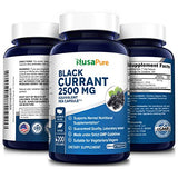 NusaPure Black Currant 2500 Mg Equivalent per Caps 200 Veggie Capsules (Powder, Extract 10:1, Vegan, Non-GMO, Gluten-Free)