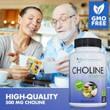 Premium Choline - 500 mg - 120 Veggie Capsules - by DOCTOR RECOMMENDED SUPPLEMENTS - Supports Cognitive Health, Memory & More