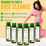 Raw Fountain 3 Day Green Juice Cleanse, All Natural Raw, Vegan Detox, Weight Management Program, Cold Pressed Juice, 18 Bottles 12oz, 3 Ginger Shots