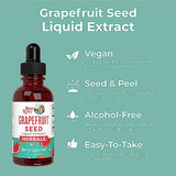 Grapefruit Seed Extract by MaryRuth's | Grapefruit Seed Oil Drops | Peel & Seed | Herbal Tinctures Liquid Drops | Sugar Free | Vegan | Non-GMO | Gluten Free| Unflavored | 30 Servings | 1 Fl Oz