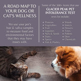 Glacier Peak Holistics Original Pet Intolerance Test - Test Over 300 Food and Environmental Stressors with an Easy at-Home Hair and Saliva Collection Kit - Results in 5-7 Days.