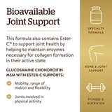 Solgar Extra Strength Glucosamine Chondroitin MSM w/ Ester-C, 180 Tablets - Promotes Healthy Joints, Supports Comfortable Movement & Collagen Formation - Non-GMO, Gluten Free, Dairy Free - 60 Servings