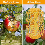 Sancodee 2 Pcs Wasp Trap Outdoor Hanging, Insect Catcher for Wasps and Carpenter Bees, Bee Killer Sticky Bug Boards Yellow Jacket Trap with Bait Reservoir, Non-Toxic Reusable Wasp Hornet Trap (Orange)