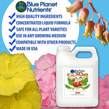 CalMag Plus Iron Liquid Plant Supplement (128 fl oz) Gallon | for All Plants & Gardens | Concentrated Calcium Magnesium Iron | Makes Up to 1,260 Gallons of Ready to Feed | Blue Planet Nutrients