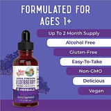 MaryRuth Organics Herbal Supplement Drop | for Immune Support | Pack of 1 | Elderberry | Syrup | Extra Strength | Black Liquid | USDA | Vegan | Non-GMO | Gluten Free | 60 Servings