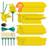 120 Pack Sticky Trap Fruit Fly Killer Indoor, Fungus Gnat Trap for House Plants, Yellow Sticky Traps for Plants Insects Bug