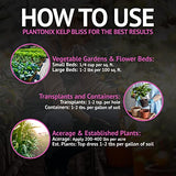 Kelp Bliss - Pure Kelp Meal - Organic Kelp Fertilizer for Growing Healthy Plants, Crops, and Gardens! Increases Fruit and Vegetable Yield! (10 lbs)