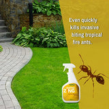 NatroZing Ant & Roach Killer 32 oz Indoors and Outdoors, Ant Spray for Home, Ant Repellent for House，Fast Kill, Prevents for Weeks,Also Kills Roaches Spiders Centipedes, Plant Extract Based Non-Toxic