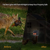 MAGIC CAT Solar Nocturnal Animal Repeller, Wild Animal Predator Deterrent with Red LED Lights, Waterproof Skunk, Deer, Coyote, Fox, Raccoon Animal Repellent for Garden Yard Farm Chicken Coop (4 Pack)