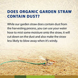 Organic Garden Straw (5lb) | Blue Mountain Hay | Straw Mulch for Raised Bed Gardens, Yard Landscaping, New Lawn Grass Seed Plantings, Tomato & Vegetable Mulch | Covers up to 75 sq ft