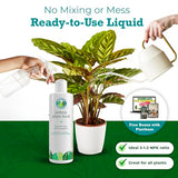 Indoor Plant Food by Houseplant Resource Center - Organic Liquid Fertilizer for Pothos, Peace Lily, Monstera, Cactus and More - 16oz