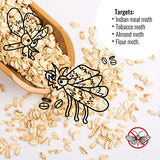 Pantry Moth Trap 6-Pack - Pantry Moth Glue Traps for House Pantry, Pantry Moth Traps for Food and Cupboard Moths, Pantry Moth Traps with Pheromones Prime Pest Trap Indian Meal Moth Traps for Kitchen