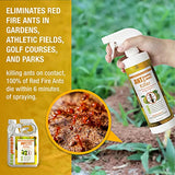 EcoRaider Ant & Crawling Insect Killer (32 OZ), 100% Fast Kills, Also Kills Fire Ants. Lasting Repellency, Safe for Children & Pets