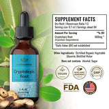 HERBAMAMA Cryptolepis Liquid Extract - Organic Tincture to Support Immunity, Stress Relief, Digestive Wellness & Body Cleanse - Vegan, No Sugar or Alcohol - 2 fl. oz