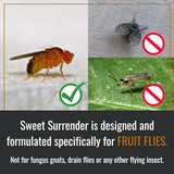 Dr. Killigan's Sweet Surrender - Fruit Fly Trap for Indoors, Home and Kitchen - Trap with Liquid Bait and Lure - Powerful Fruit Fly Attractant