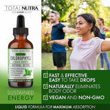 Liquid Chlorophyll Drops 50mg: Vegan Chlorophyll Liquid Drops for Natural Energy Boost, Immune Support, Body Detox for Skin Care, Internal Deodorant Mint Flavor, Non-GMO, Gluten Free Total Nutra 4pack