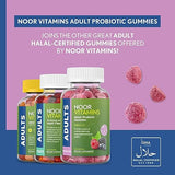 Noor Vitamins Halal Probiotic Gummies for Women and Men with 10 Billion CFU Probiotics for Adults; Non-GMO, Vegan Friendly, Gelatin Free, Probiotic Gummies for Adults, Halal Vitamins - 90 Count