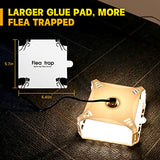 Electric Flea Traps for Inside Your Home (2 Packs), Retractable Flea Light Trap w/Sticky Flea Trap Refill & Replacement Bulbs, Ultimate Flea Fighting Solution.