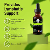 Cedar Bear - Lymphatic Cleanse Immune Support Supplement, Alcohol-Free Lymphatic Drainage Drops with Immune-Enhancing Natural Herbs, Liquid Herbal Supplements, 1 fl oz