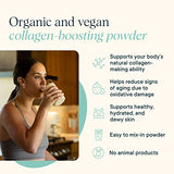 Ora Organic Vegan Collagen-Boosting Powder for Women and Men - Hair, Skin, & Nails Support - Bamboo Silica, Plant-Based Protein, Organic Vitamin C, Aloe Vera - Chocolate Flavor, 20 Servings