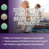 Bronson Brain + Mood Probiotic 50 Billion CFU Plus Prebiotic with L-Theanine, Bacopa and Rhodiola Non-GMO, 60 Vegetarian Capsules