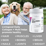 Livingood Daily Unflavored Collagen Powder, 34 Servings - Collagen Protein Powder (Collagen Type 1 and 3) Plus Multivitamin, Milk Thistle & Glucosamine - Hydrolyzed Collagen Peptides - 15.10oz…