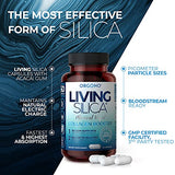 Living Silica Collagen Booster Capsules | Ultra High Absorption | Supports Healthy Collagen and Elastin Production for Joint & Bone Support, Glowing Skin, Strong Hair & Nails