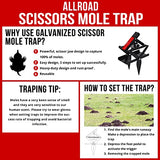 ALLRoad Mole Trap, Scissor Mole Trap That Kill Best, Powerful Eliminator for Lawn Reusable Black Vole Traps Non-Toxic and Easy Setup