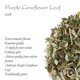 Purple Coneflower Herb Echenecia Tea - Immunity Support Tea - Echinacea Tea Coneflower Tea Echinacea Herb Purple Tea Echinacea Herb Dry Echinacea Dried Herb Echinacea Leaves Purple Echinacea Tea