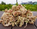 Kapecute Sphagnum Moss 1.2 lb Perfect for DIY Moss Pole, Great Potting Mix for Indoor Plants, Help with Maintain Humidity