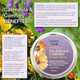 Epifany True All-Purpose Calendula & Comfrey Herbal Salve 2oz, Fragrance Free, Natural Herbal Ointment, Dry Skin Soothing Balm, Itch Relief, Organic Ingredients