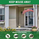 DALIYREPAL Rodent Repellent Outdoor/Indoor,Mice Repellent for House,Moth Balls for Rodents,Rat Repellent, Mouse Repellent Peppermint,Peppermint to Repel Mice and Rats 8-Pack