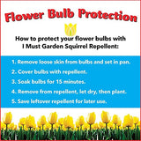 I Must Garden Squirrel Repellent: Protects Vehicles, Plants, Decking, & Furniture – Works on Chipmunks – 1 Gallon Ready to Use Refill