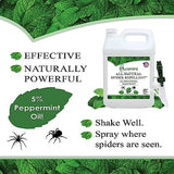 Puremint Spider Repellent, Natural 5% Peppermint Oil Spray, Kills & Deters All Types of Spiders and Insects, Indoor and Outdoor Use, 128 fl oz Gallon