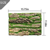 PINVNBY Reptile Terrarium Cork Background, Bearded Dragon Tank Bark Backdrop Wall Decor with Artificial Moss for Gecko Lizard Tortoise Frog Chameleon(4 Pack)