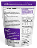 Protein Essentials, Beef Gelatin: Pasture-Raised, Grass Fed (16oz)