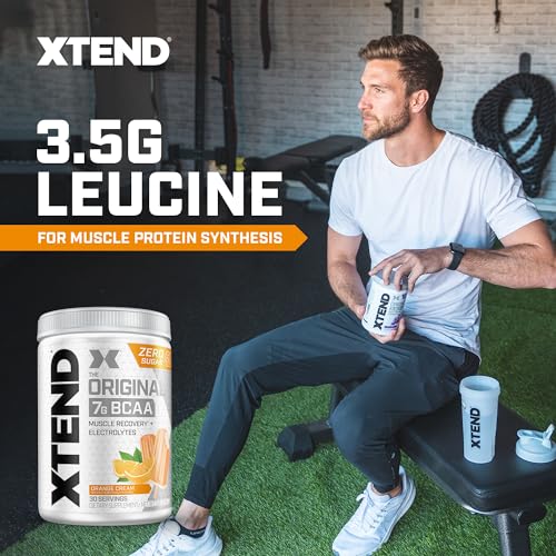 XTEND Original BCAA Powder Orange Cream | Sugar Free Post Workout Muscle Recovery Drink with Amino Acids | 7g BCAAs for Men & Women | 30 Servings