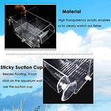 capetsma Fish Breeder Box, Hang-on Nursery Fish Tank with Breeding Hatching Incubator Acclimation Box, Perfect Fish Tank Divider for Aggressive Injured Pregnant Fish Small Fish Brine Shrimp Clownfish