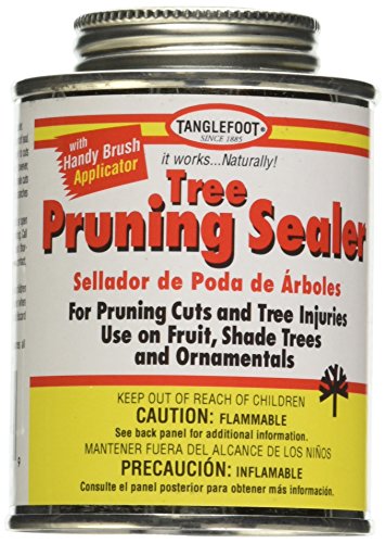 Tanglefoot Tree Pruning Sealer Can with Brush Cap