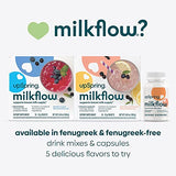 UpSpring Milkflow Electrolyte Breastfeeding Supplement Drink Mix with Fenugreek | Berry Flavor | Lactation Supplement to Support Breast Milk Supply & Restore Electrolytes* | 16 Drink Mixes