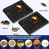 24 Pack Large Baited Glue Traps Sticky Mouse Trap Rat Traps Indoor Rodent Killer Baited Trays Rat Mouse Exterminator Plastic Sticky Non Toxic Mice Trap for Home Indoor Outdoor Mice Rats Snake Rodent