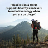 Floradix Iron Salus 120 Tabs