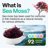 Organic Irish Sea Moss Pills - Wildcrafted Dr Sebi Inspired Seamoss Blend with Turmeric, Burdock Root & Bladderwrack, Enhanced with Black Pepper - 60 Capsules